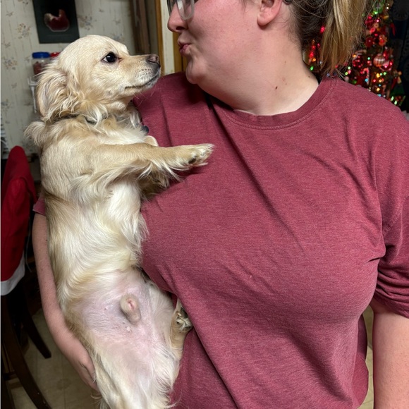 Meet your Posher, Michelle - Picture 6 of 10